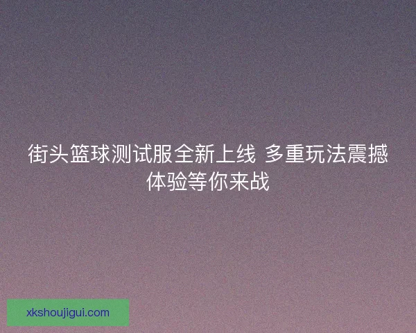 街头篮球测试服全新上线 多重玩法震撼体验等你来战