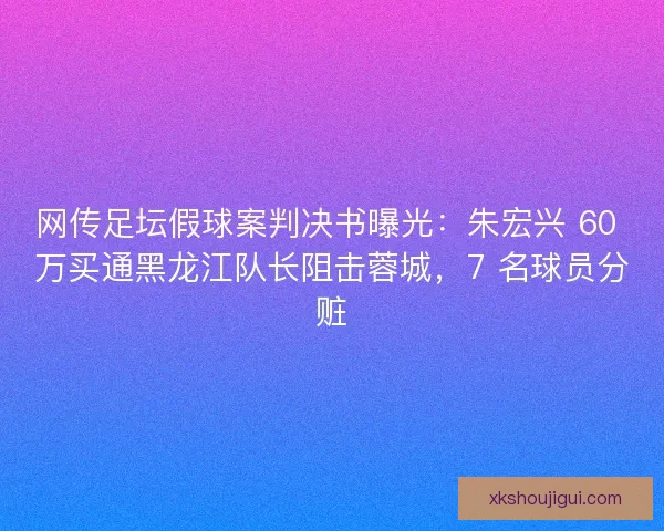 网传足坛假球案判决书曝光：朱宏兴 60 万买通黑龙江队长阻击蓉城，7 名球员分赃